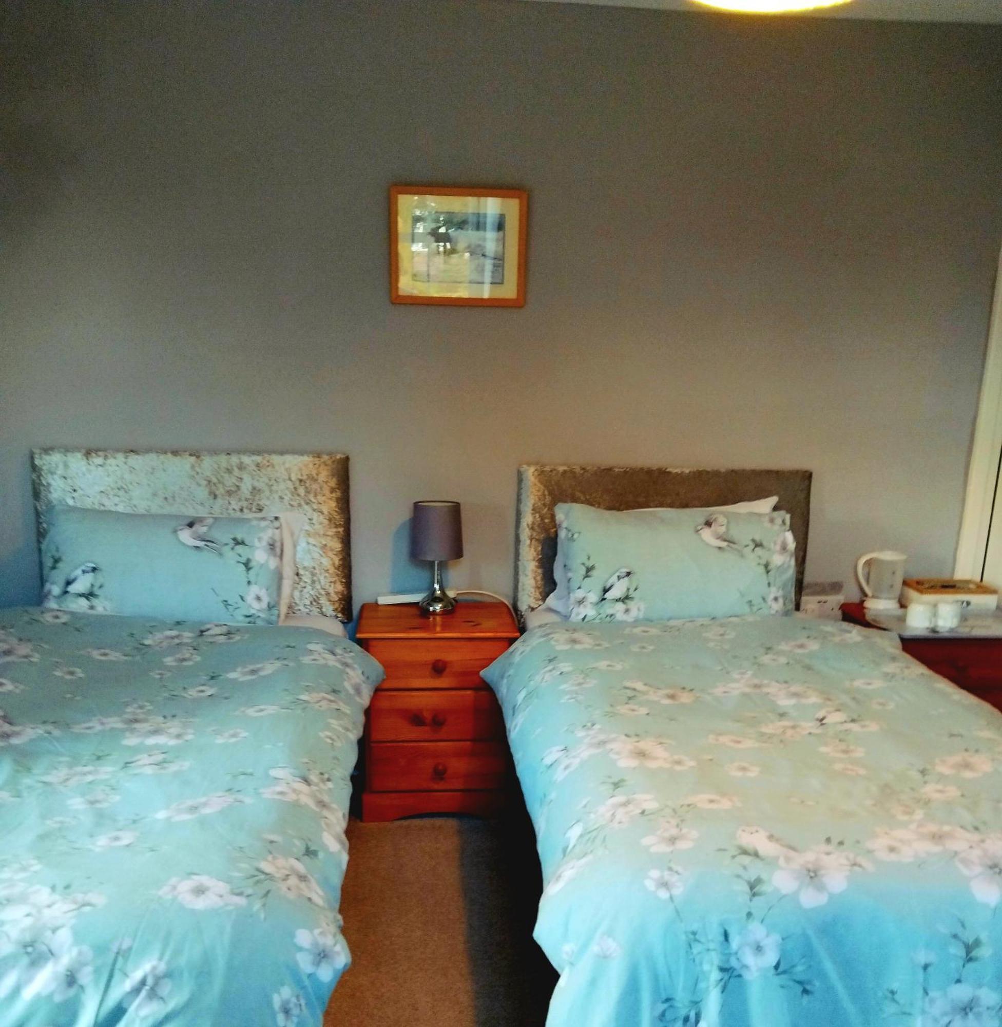 קמלפורד The Countryman Hotel מראה חיצוני תמונה